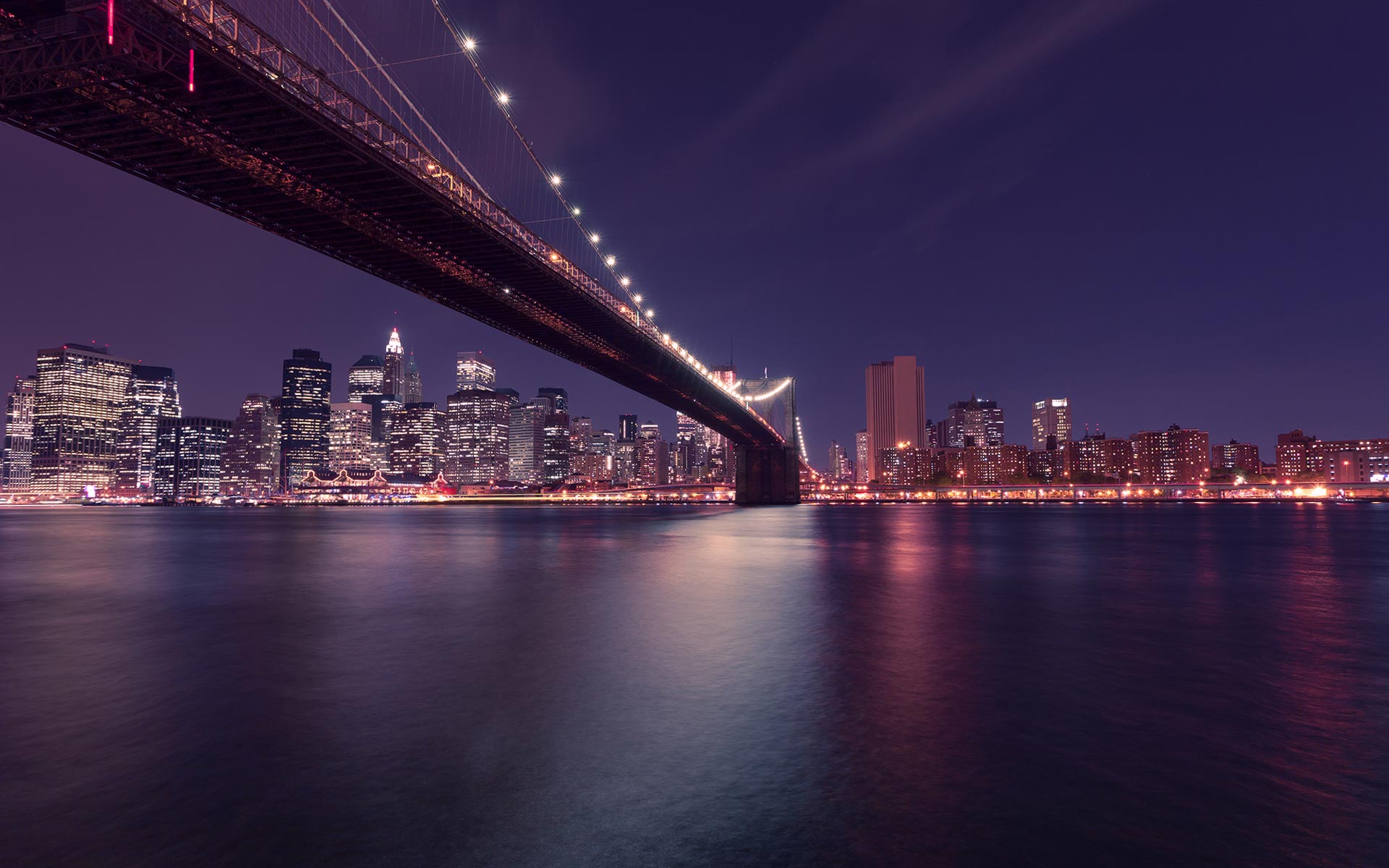 Quisque lorem tortor